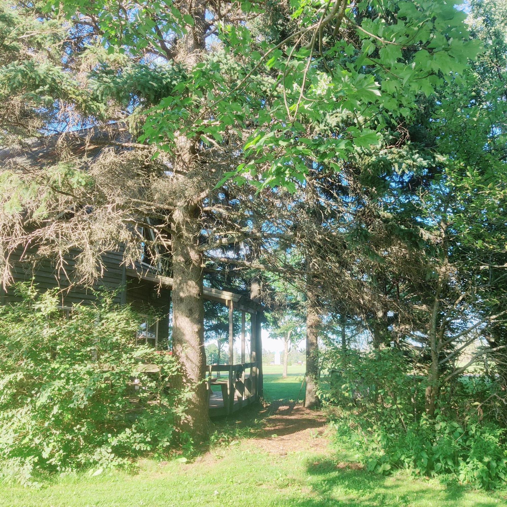 Avonlea Forest Hill Cottages New Glasgow Exteriér fotografie